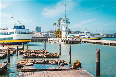 Pier am Fishermans Wharf